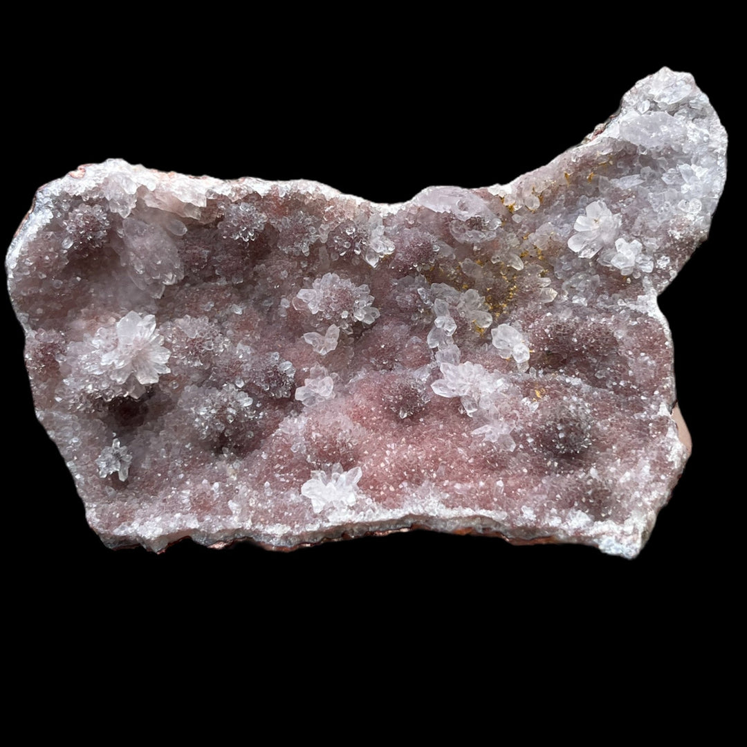 Taille musée, 18 cm +