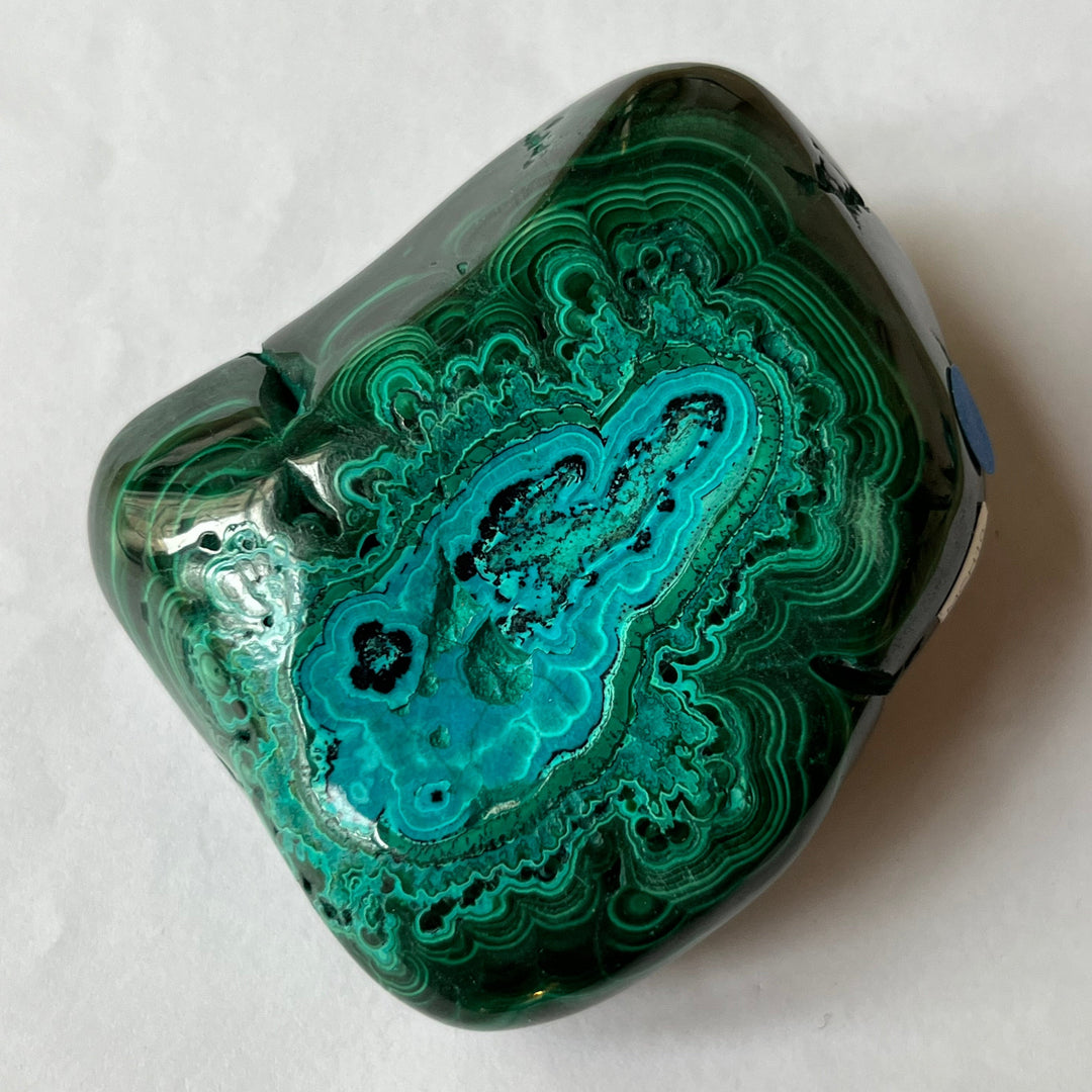 Malachite chrysocolle Congo MCH10