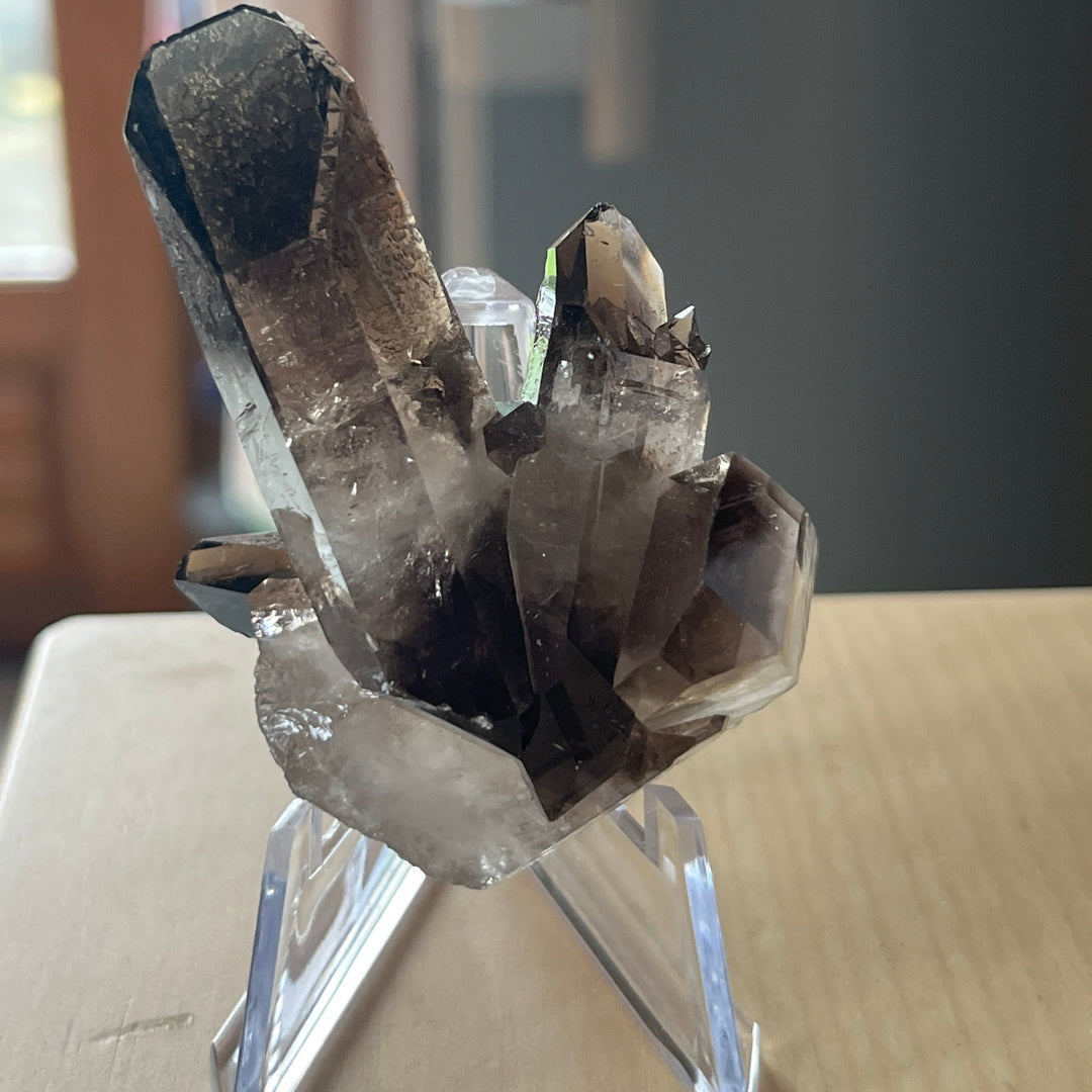 Quartz fumé Brésil QTZ9