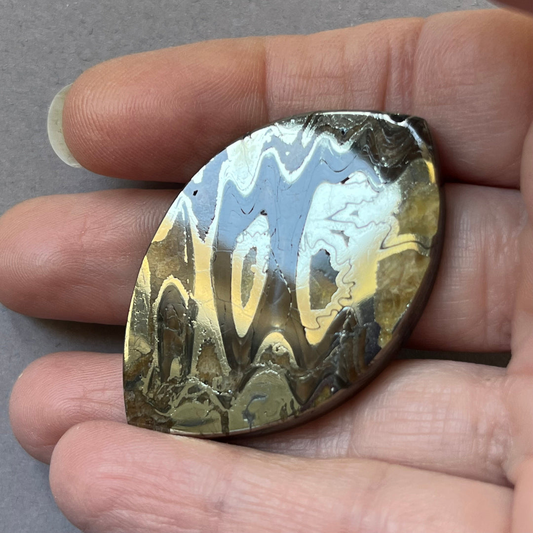 Pyritized ammonite, AM_P043, cabochon cut, 48x32x5 mm