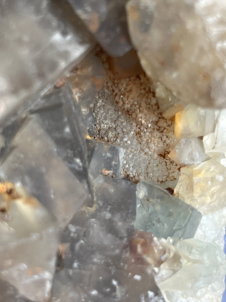 Fluorine verte bleue Fontsante France