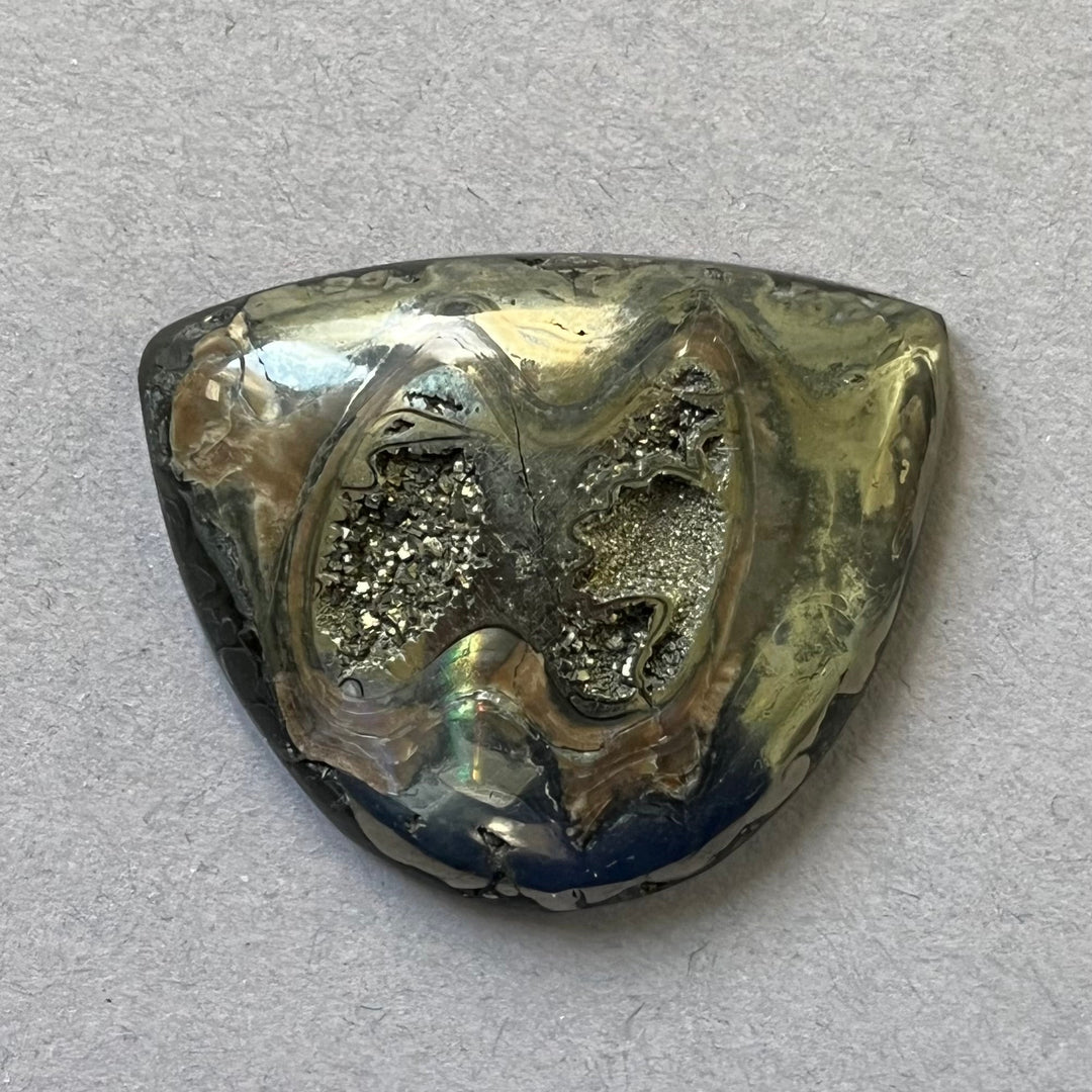 Pyritized ammonite, AM_P280, cabochon cut, 34x28x7 mm