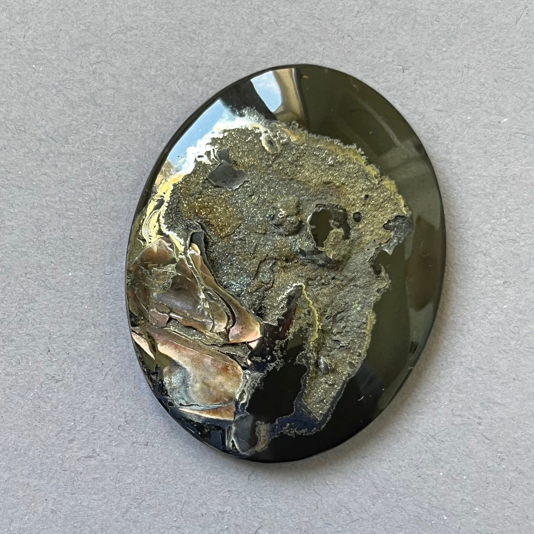 Pyritisierter Ammonit, AM_P179, Cabochon-Schliff, 48x38x7 mm
