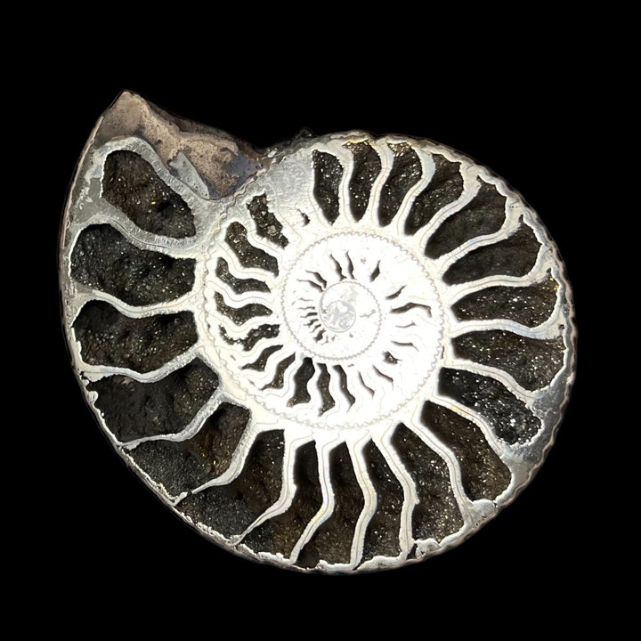 Pyritized ammonite from Russia, 72x60 mm, polished, #3