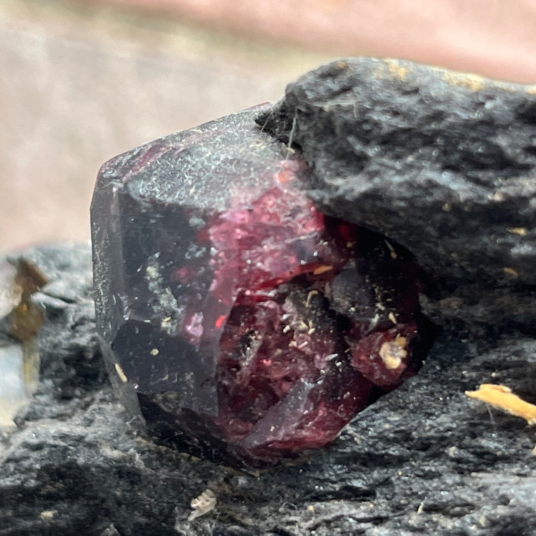 Grand micaschiste à Grenats Almandins – Tyrol, Autriche