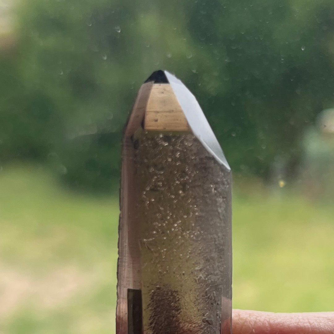 Brazilian Smoky Quartz QTZ22
