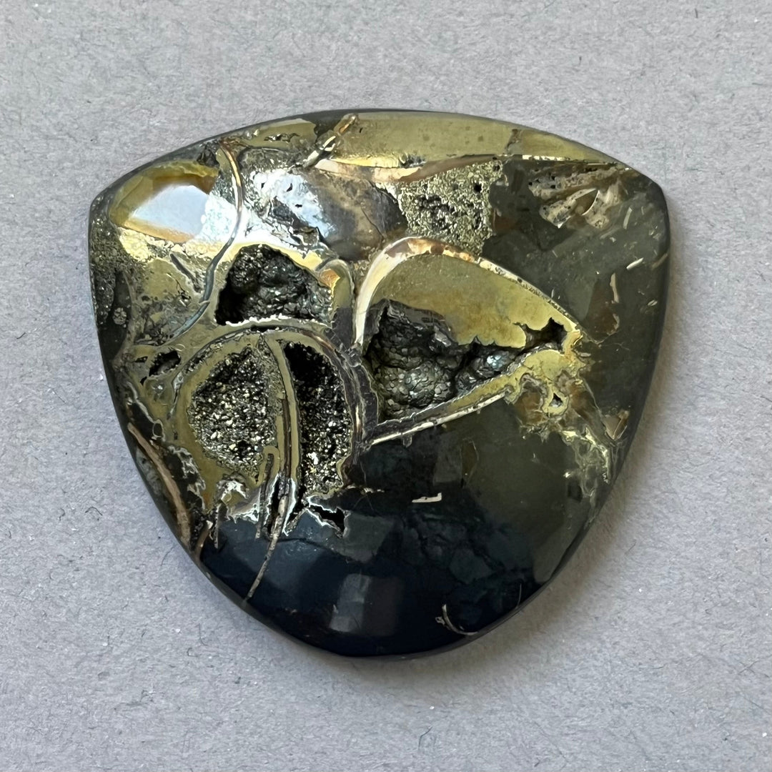 Pyritisierter Ammonit, AM_P242, Cabochon-Schliff, 39 x 37 x 8 mm