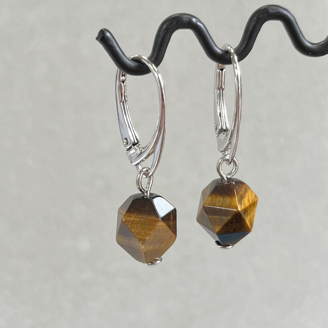 Earrings with tiger's eye, in silver