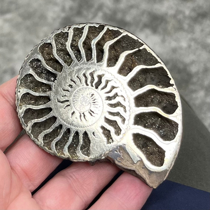 Pyritized ammonite from Russia, 72x60 mm, polished, #3