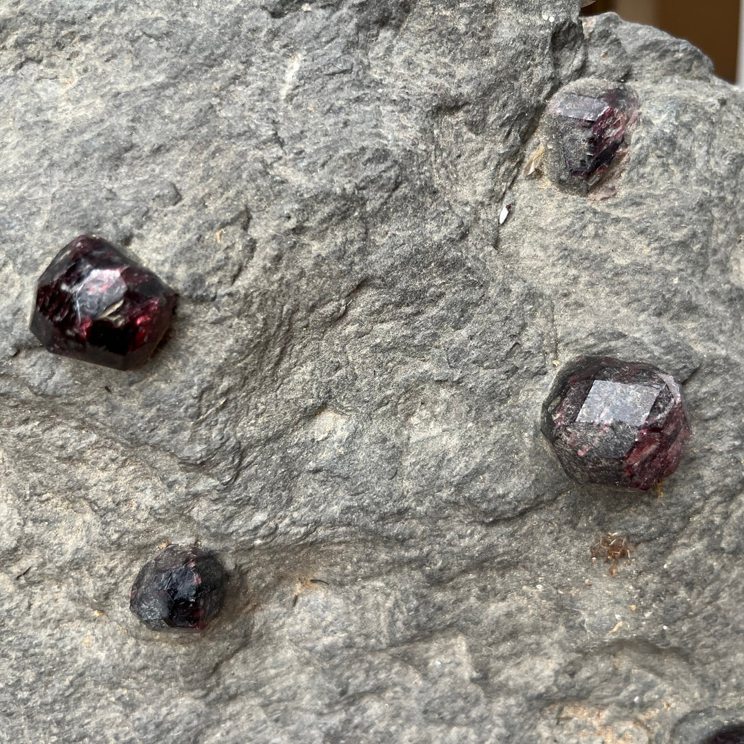 Grand micaschiste à Grenats Almandins – Tyrol, Autriche