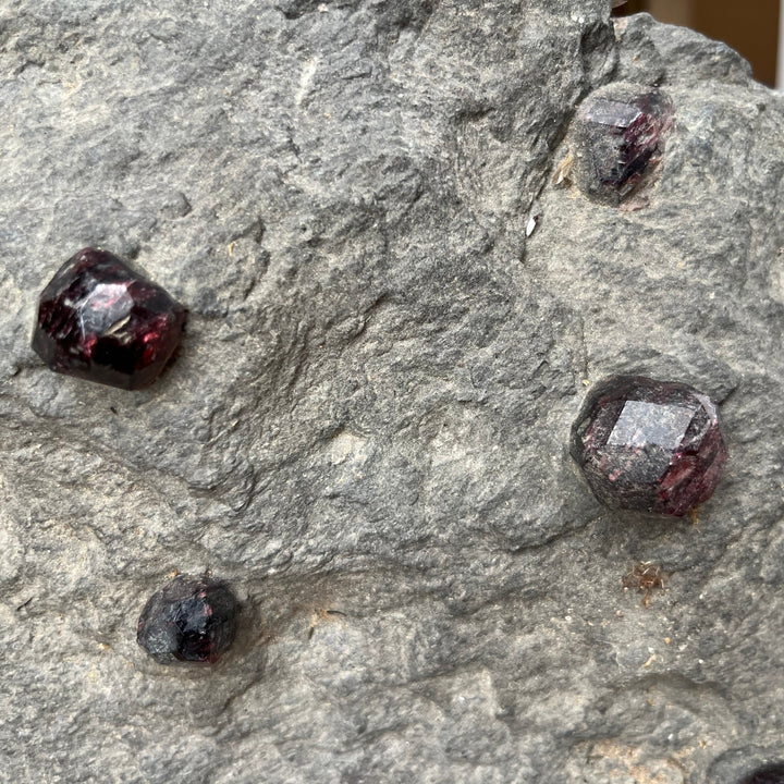 Grand micaschiste à Grenats Almandins – Tyrol, Autriche