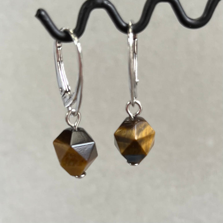 Earrings with tiger's eye, in silver