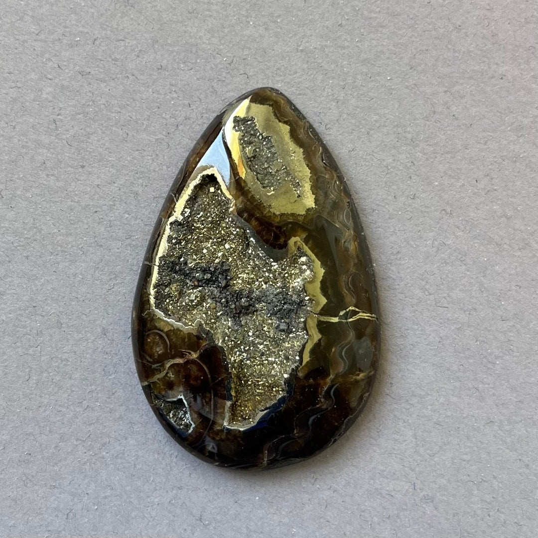 Pyritisierter Ammonit, AM_P097, Cabochon-Schliff, 47x30x6 mm