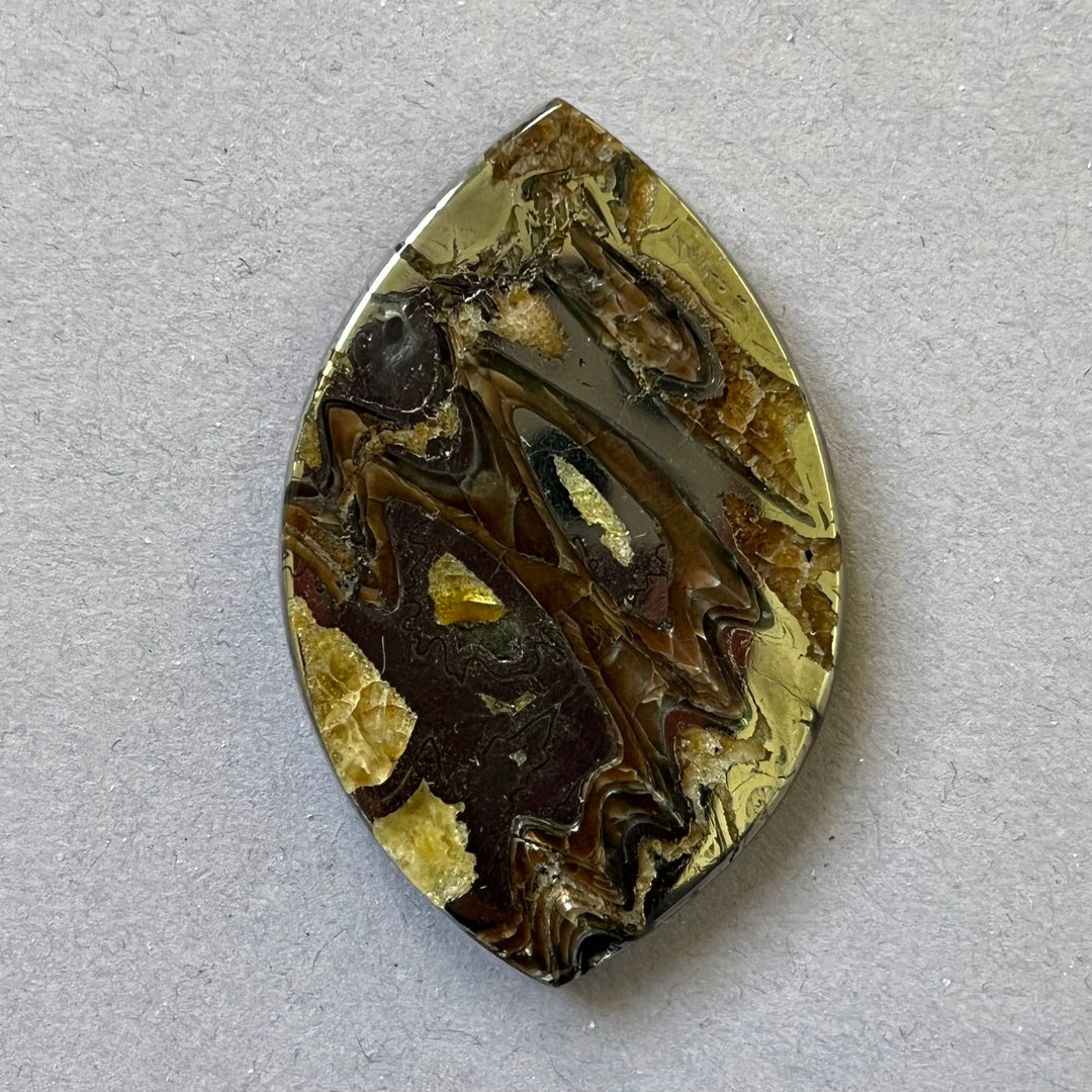 Pyritized ammonite, AM_P043, cabochon cut, 48x32x5 mm