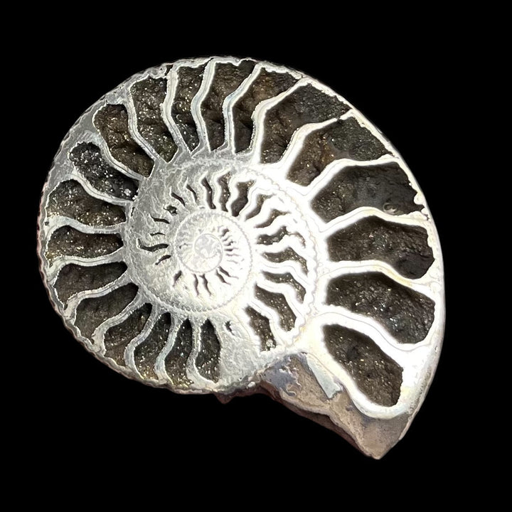 Pyritized ammonite from Russia, 72x60 mm, polished, #3