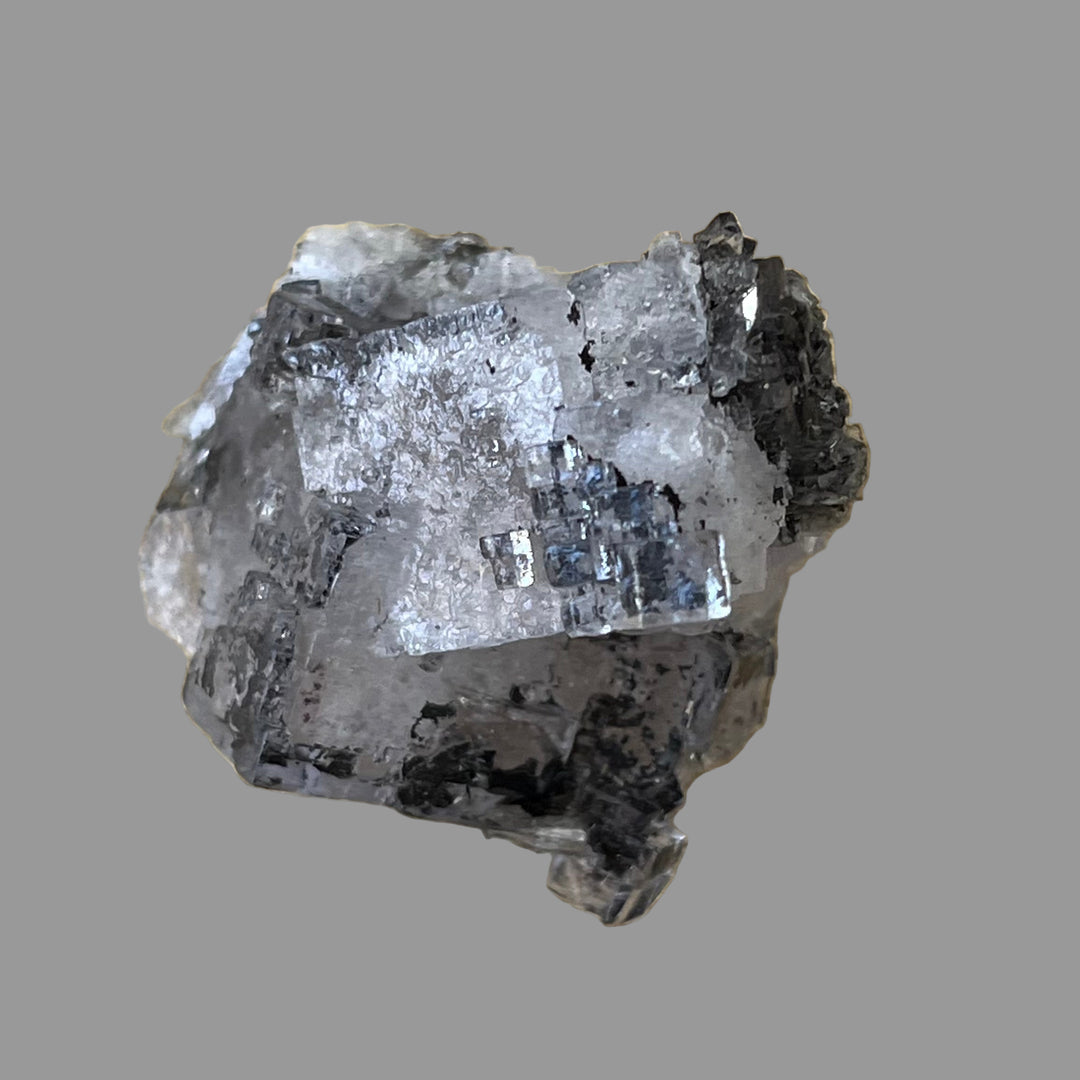 Fluorite inclusion pyrobitume Emilio mine Asturias Espagne