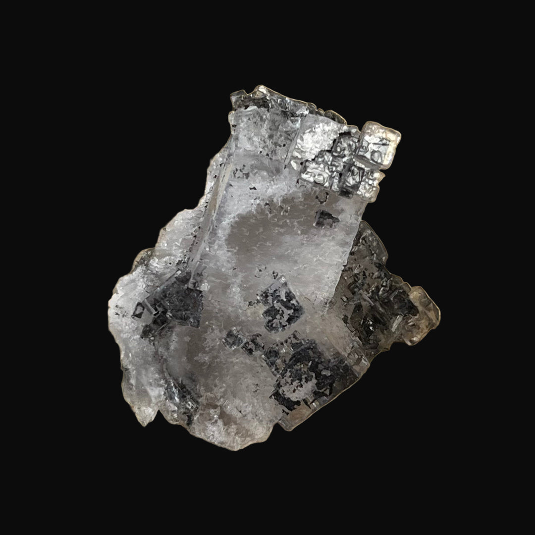 Fluorite inclusion pyrobitume Emilio mine Asturias Espagne