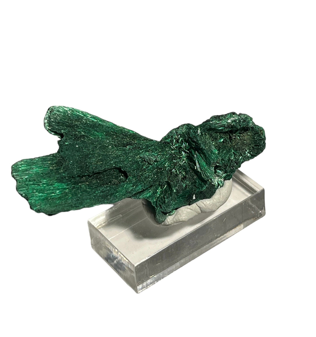 Malachite fibreuse DR Congo DW66