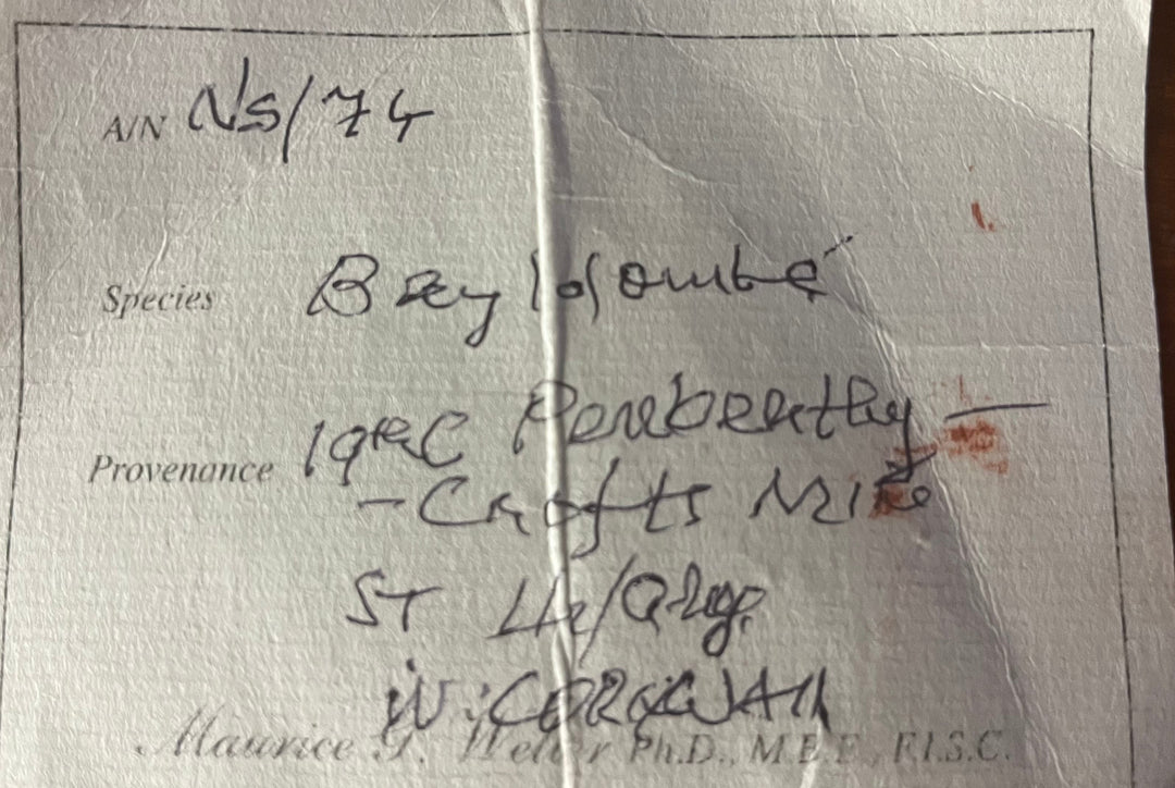 Bayldonit auf Mimetitquarz, 19. Jahrhundert, Cornwall, England, M18S198