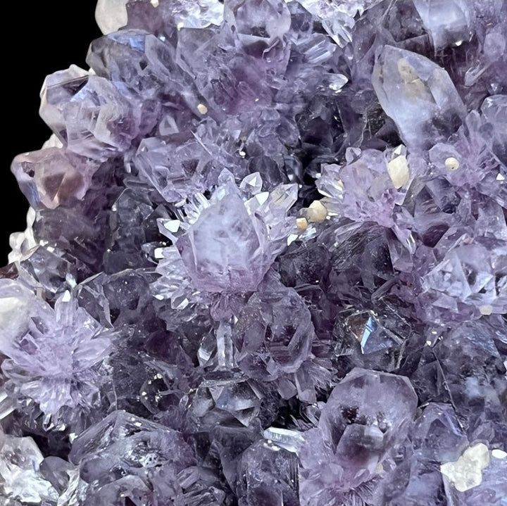 Guanajuato Amethyst-Varietät Quarz DR126