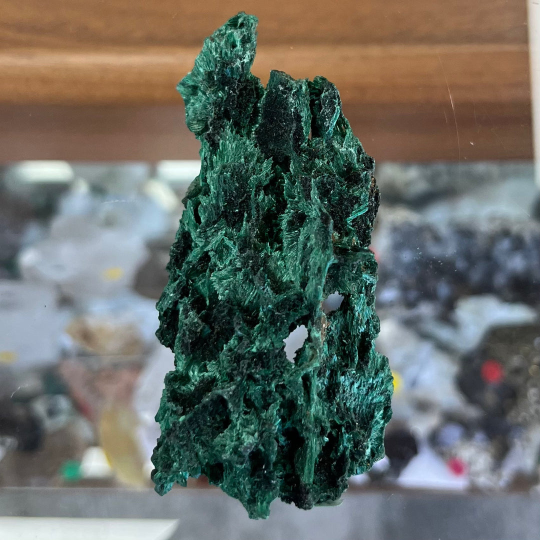 Fibrous Malachite Congo DW181