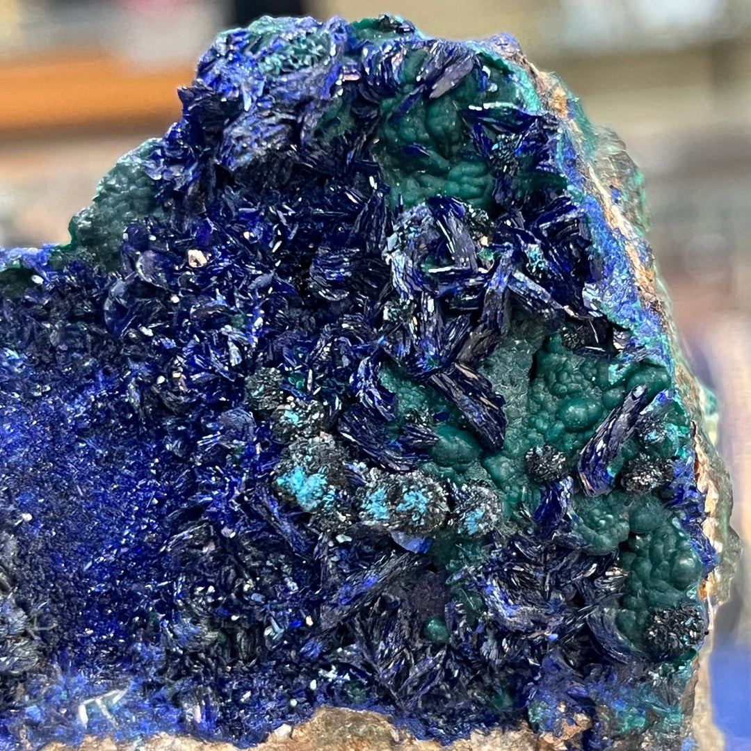 Azurite Chrysocolle malachite,Bisbee  mine  USA  DR269