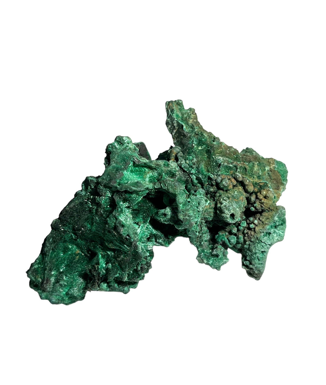 Malachite fibreuse DR Congo DW72