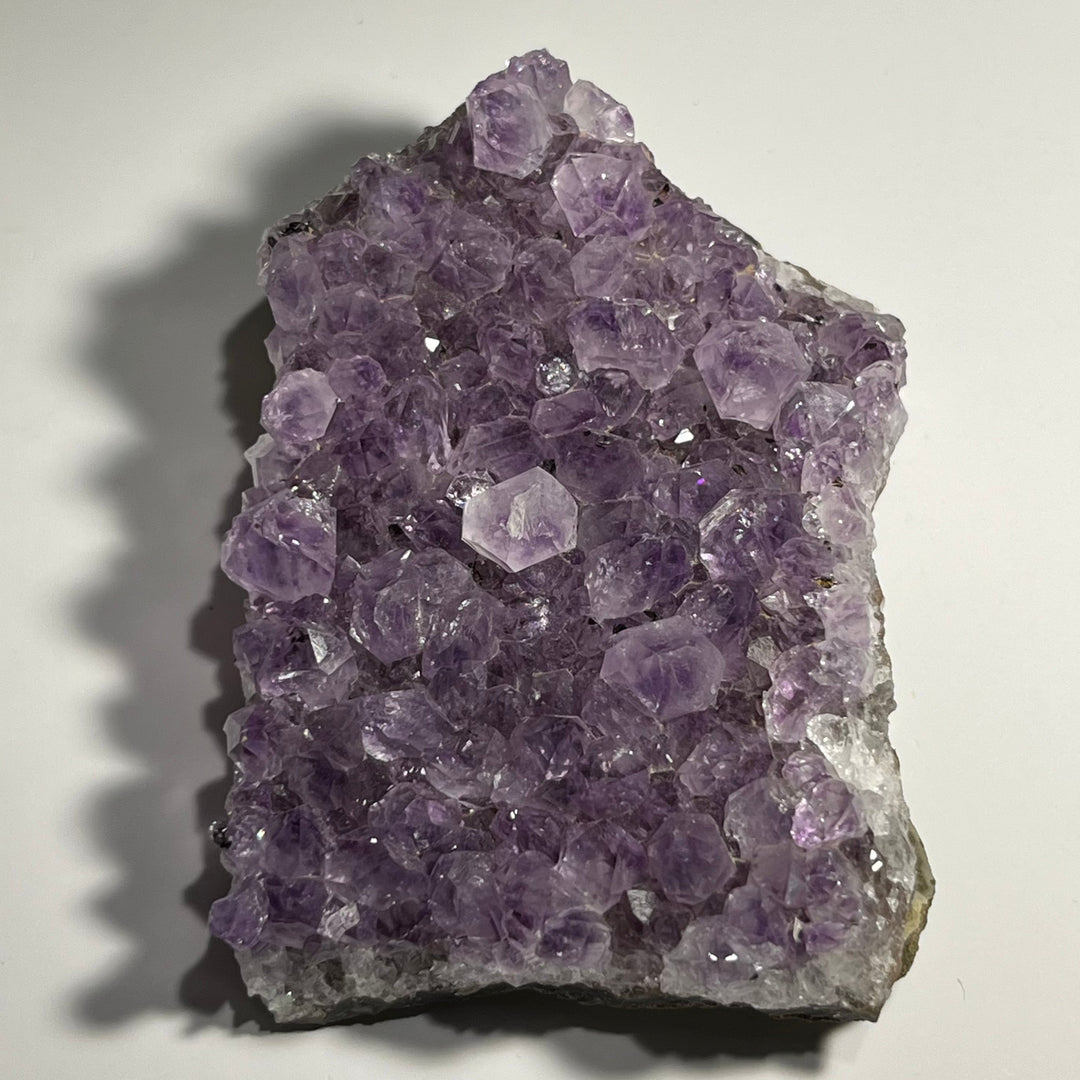 Brasilianische Amethyst-Druse M18W38