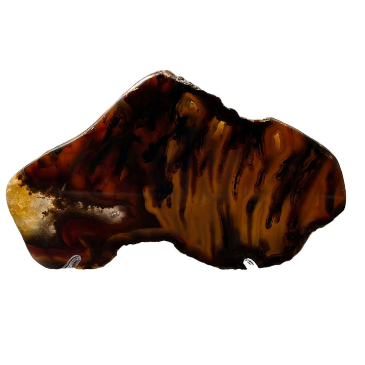 Polished Brazilian Agate Slice 2