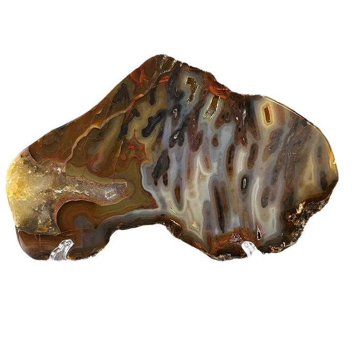 Polished Brazilian Agate Slice 2
