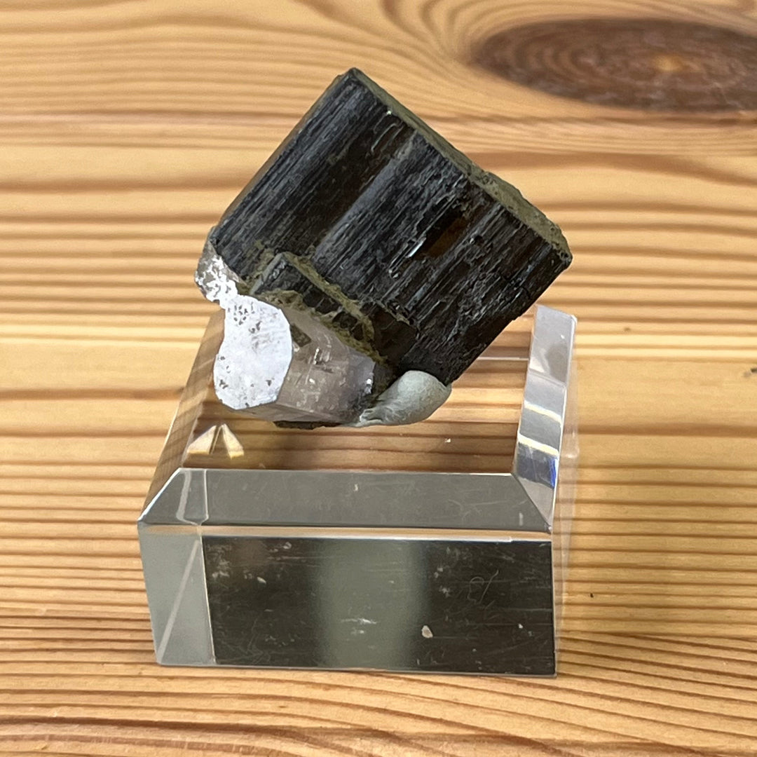 Ferberit (Wolframit) Fluorapatit Panasqueiras Portugal PNQ57