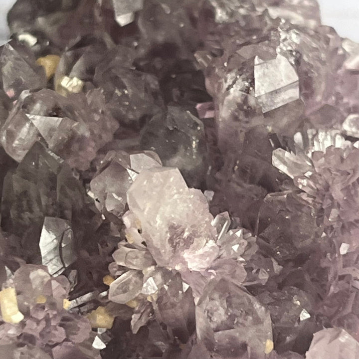 Guanajuato Amethyst-Varietät Quarz DR126