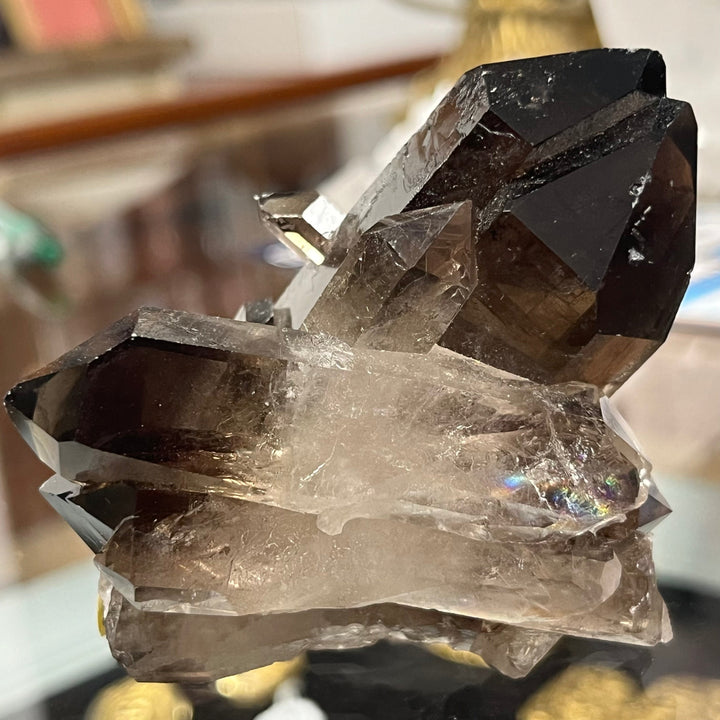 Quartz fumé bidéterminé Brésil QTZ31