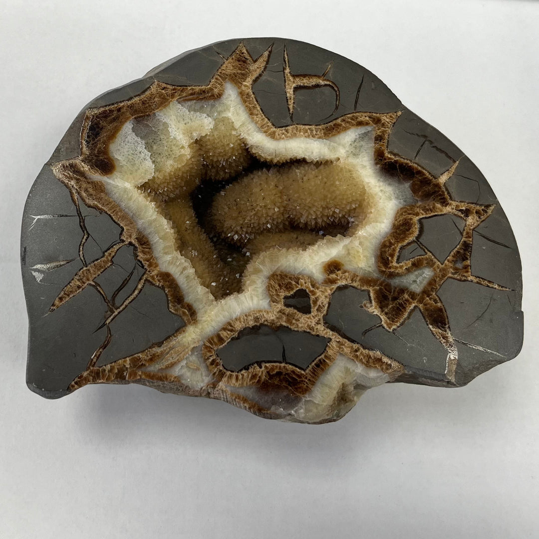 Septaria, Utah, USA DA91