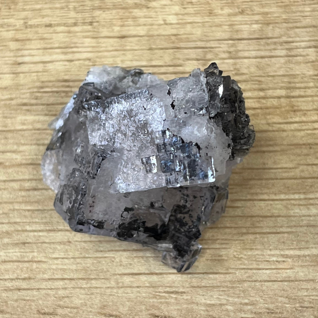 Fluorit-Einschluss Pyrobitumen Emilio-Mine Asturien Spanien FLS92