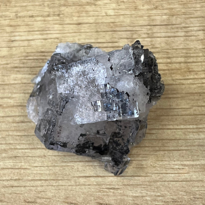 Fluorit-Einschluss Pyrobitumen Emilio-Mine Asturien Spanien FLS92