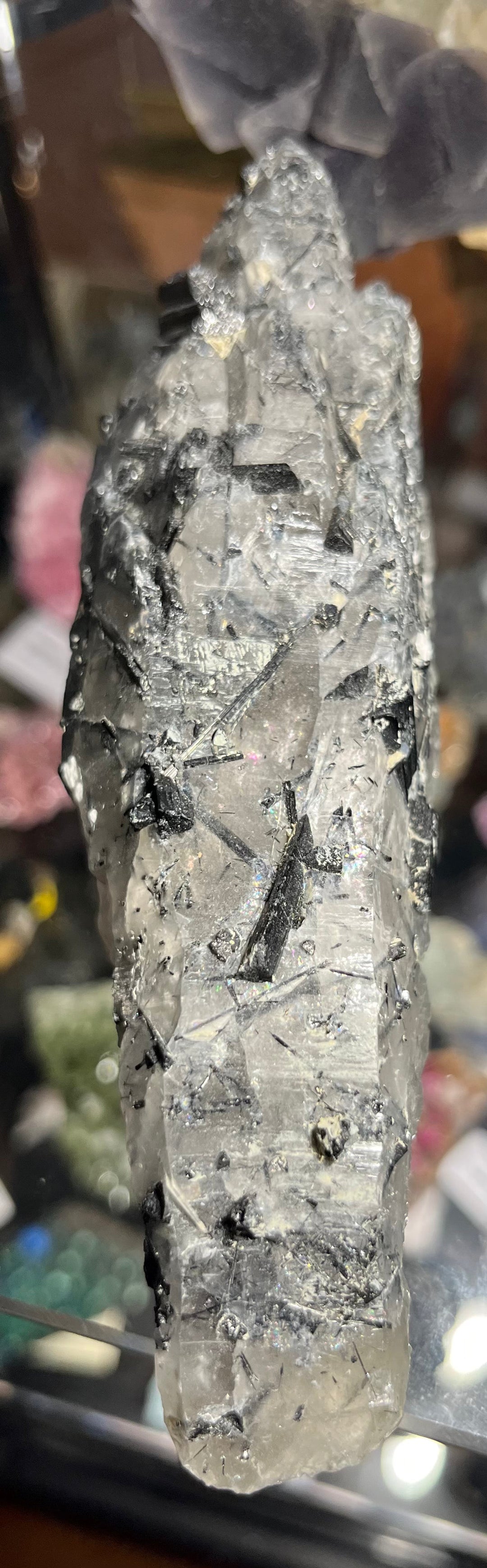 Black tourmaline in quartz, China DA202