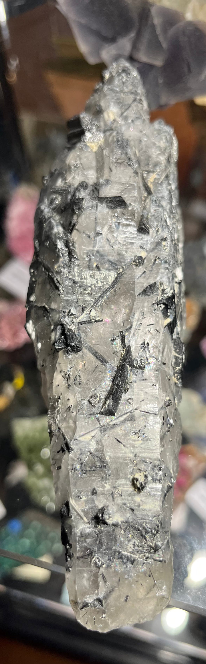 Black tourmaline in quartz, China DA202