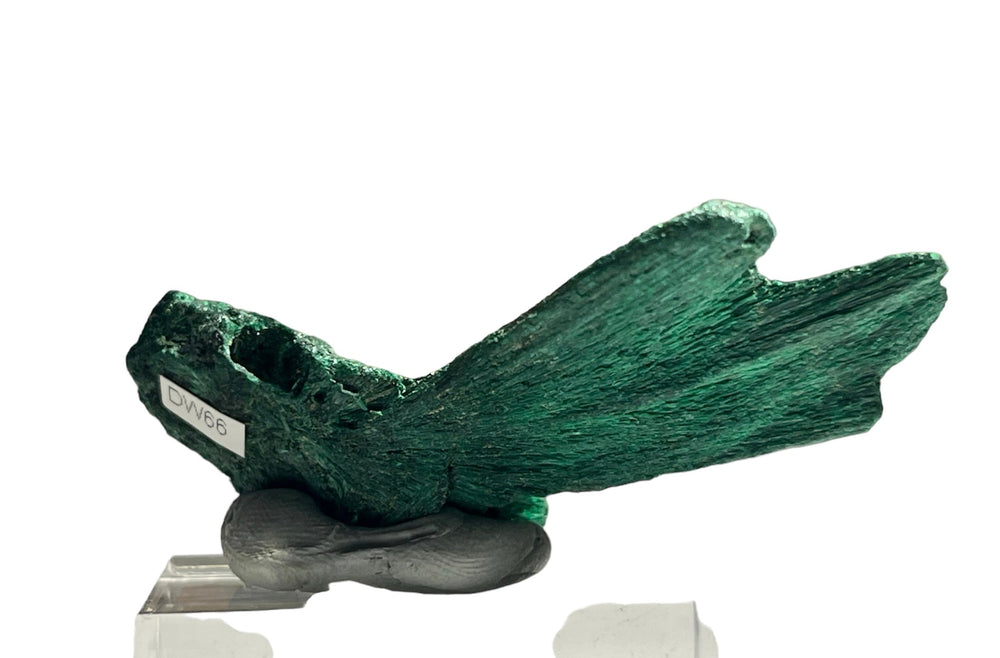 Malachite fibreuse DR Congo DW66