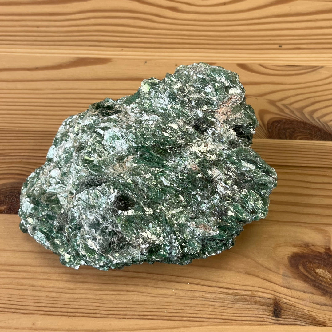 Green fuchsia Bahia Brazil DW138