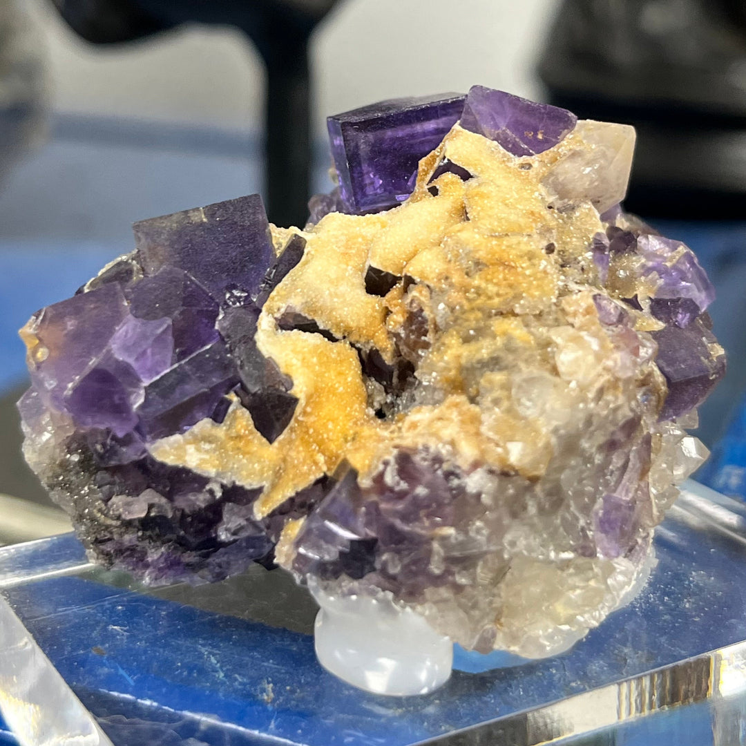Fluorite fantôme et quartz Berbes Asturias Espagne FLS38