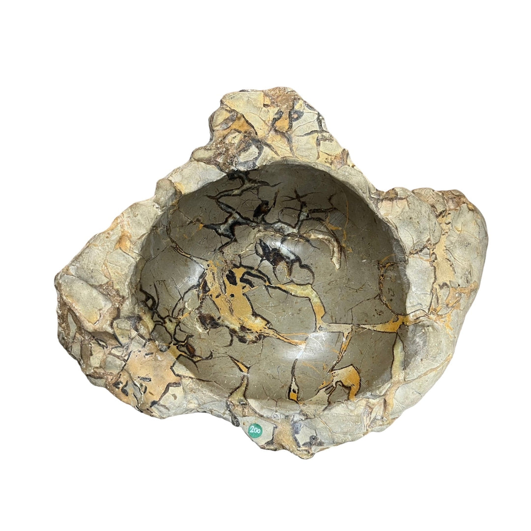 Septaria DR261 Schmuckschale