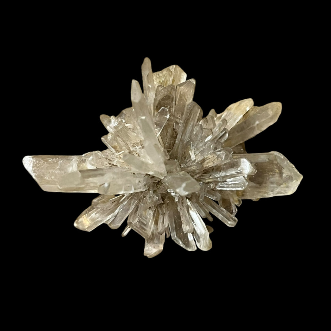 Gypse Angervilliers Essonne France DA271