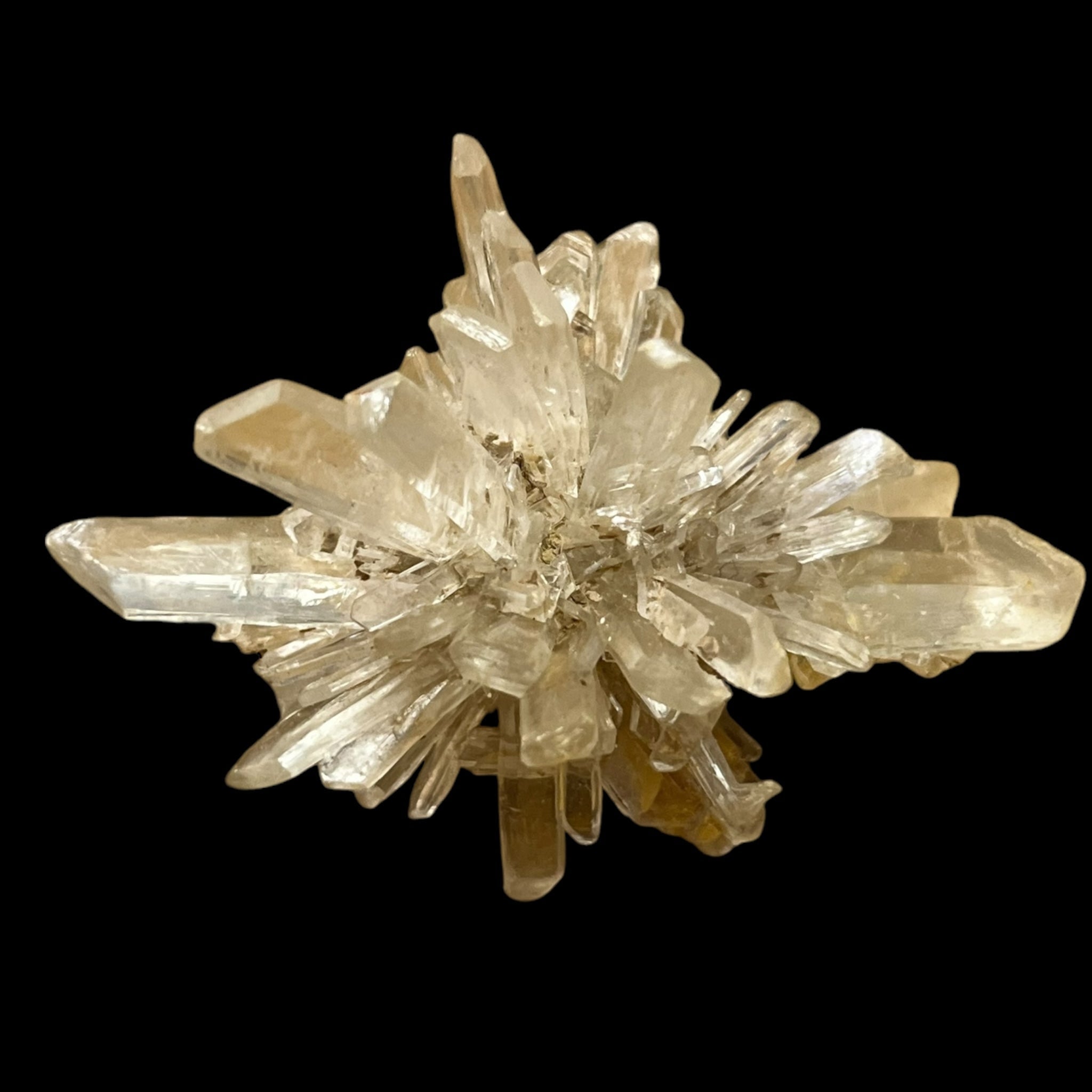 Gypse Angervilliers Essonne France DA271