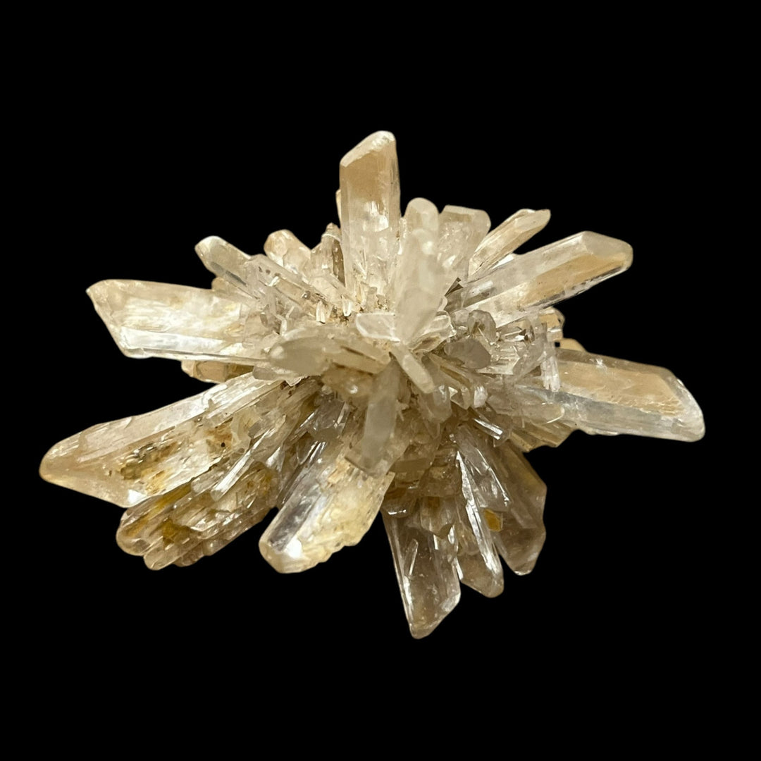 Gypse Angervilliers Essonne France DA271