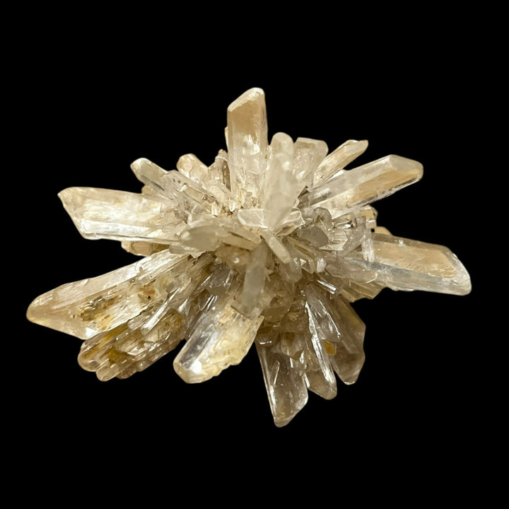 Gypse Angervilliers Essonne France DA271