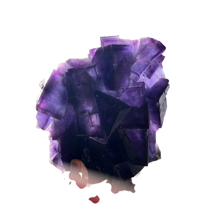 Zoned purple fluorite with calcite, Denton Mine, Illinois, USA, DB13