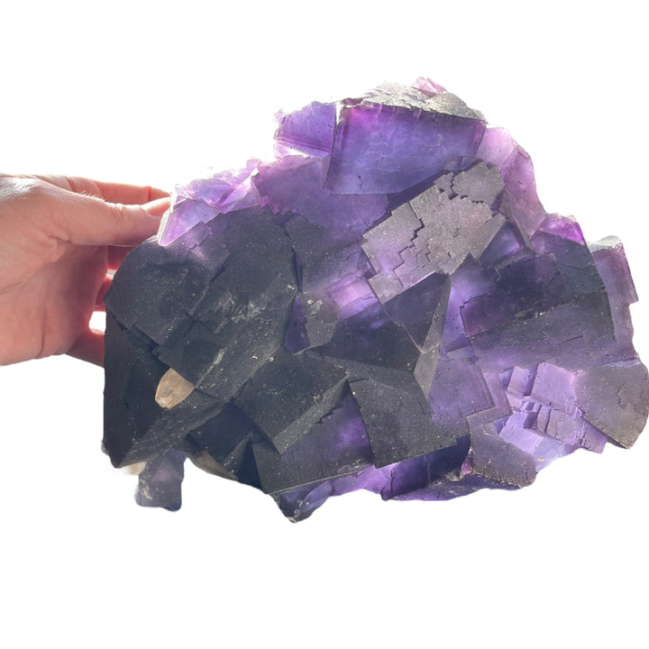 Zoned purple fluorite with calcite, Denton Mine, Illinois, USA, DB13
