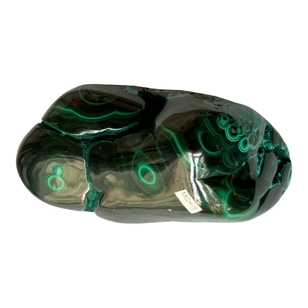 Malachite chrysocolla Congo MCH16