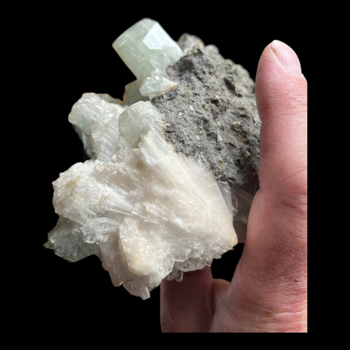 Grüner Fluorapophyllit und Scolecit Maharashtra Indien DA179